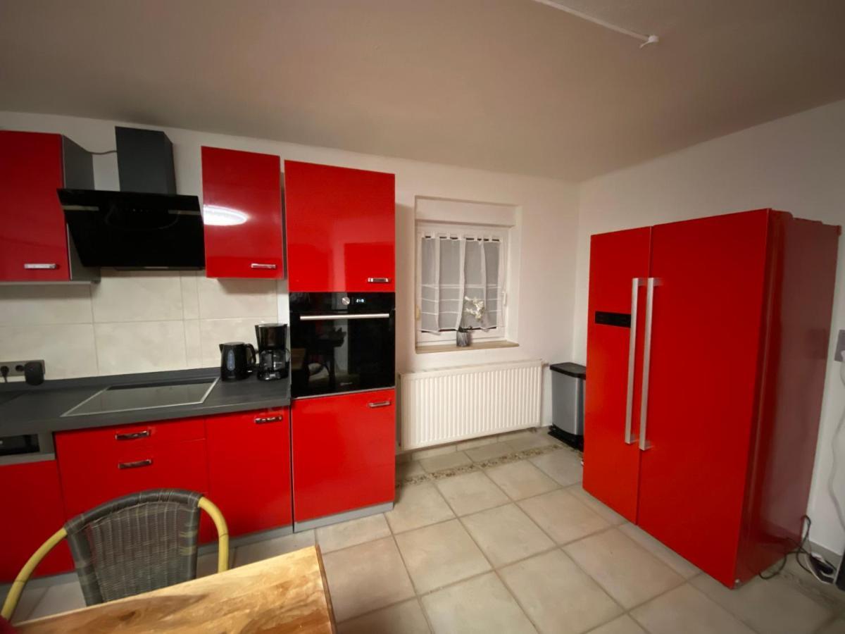 Stilvolles Ferienhaus Mit Garten Fuer 6 Personen Dippoldiswalde Dış mekan fotoğraf